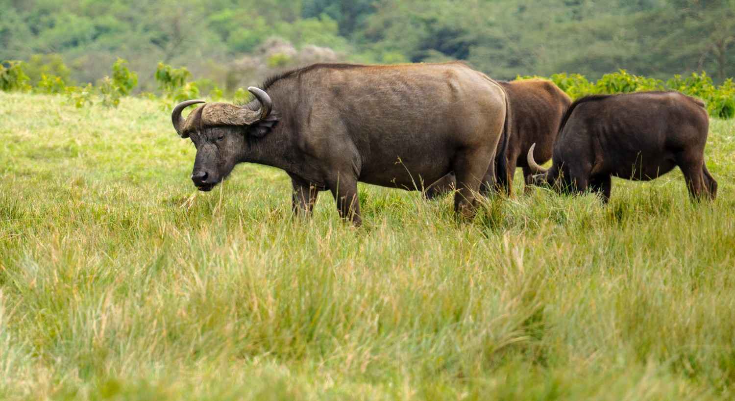 Arusha National Park
